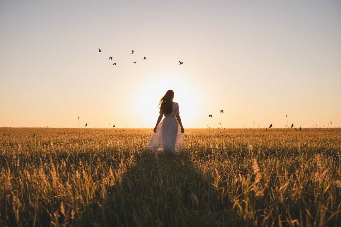 serene scene with birds in a sunny field and siloute of a woman
